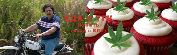 дурь Ельня