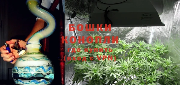 дурь Ельня