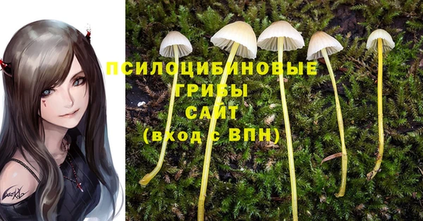 дурь Ельня