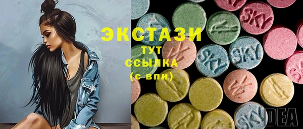 дурь Ельня