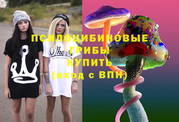дурь Ельня