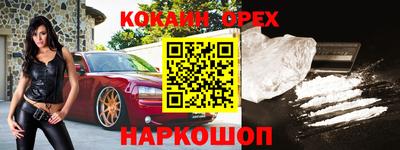 стаф Будённовск