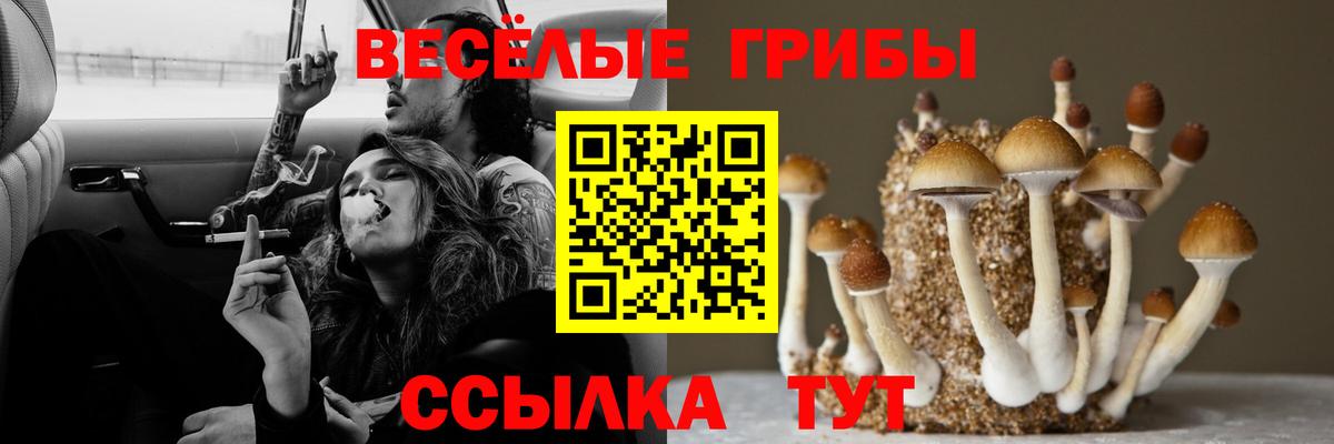 Псилоцибиновые грибы ЛСД  Псилоцибиновые грибы Magic Shrooms  Ессентуки 
