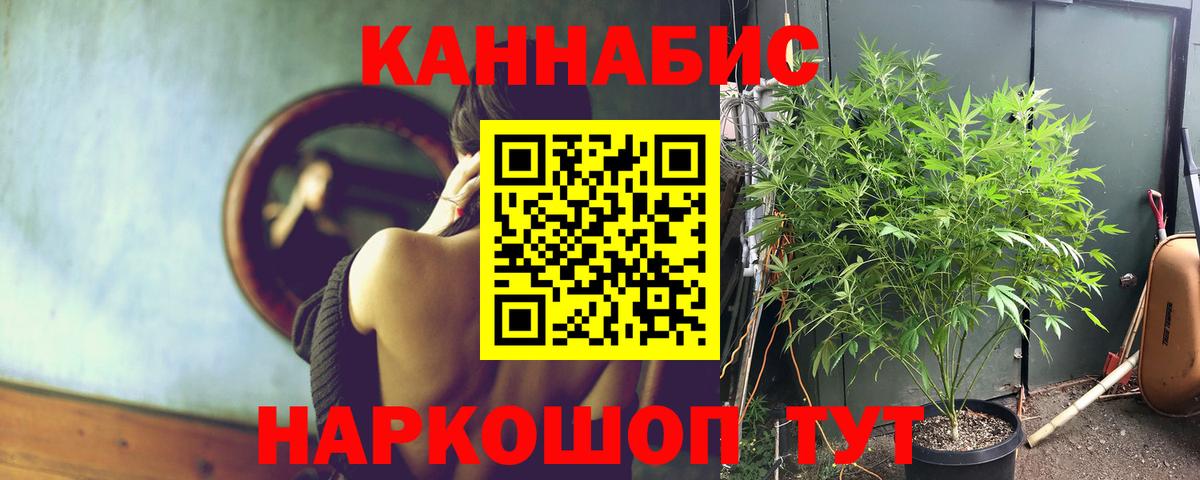 Шишки марихуана планчик  Каннабис марихуана  Вход с VPN  Бошки марихуана Bruce Banner  Ессентуки 