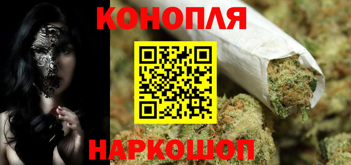 Канабис сатива Ессентуки